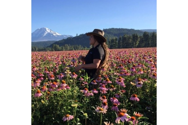 Farmer standing in field of Echinacea.